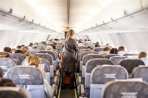 sexual harassment cabin crew face in flight sex pests time