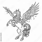 Hippogriff Creature Pages Sketch Greek Drawing Coloring Hippogryph Supernatural Background Mythology Legendary Beast Potter Harry Fantasy Griffin Mythological Mythical Getdrawings sketch template