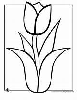 Outline Tulip Clipart Clip Coloring sketch template