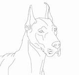 Coloring Dane Great Pages Dogs Danes Template Lineart Deviantart Comments sketch template