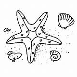 Starfish Coloring Pages Floor Sea Ocean Drawing Book Printable Print sketch template