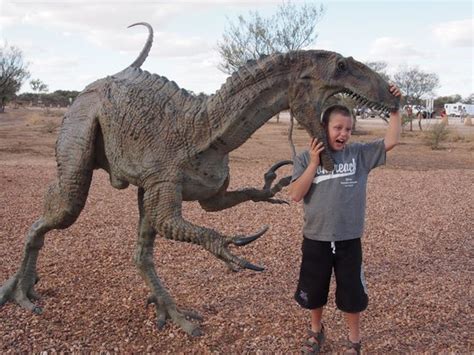 real dinosaur bones picture  australian age  dinosaurs winton