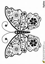 Papillon Hugolescargot Papillons Imprimer Coloriages Animaux Hibiscus Adulte Insectes Målarböcker Untersetzer Stylisé Représentant Adultes Depuis Färgläggningssidor Hugo sketch template