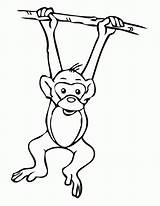 Coloring Pages Monkey Hanging Monkeys Printable sketch template