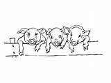Cochon Cochons Coloriages Imprime Partage Télécharge sketch template