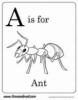 Ant Coloring Preschool Printable Printables Kids Alphabet Pages Letter Worksheets Ants Colouring Timvandevall Preschoolers Words Activities Apple Template Davemelillo sketch template