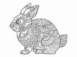Coloring Pages Bunny Rabbit Zentangle Mandala Printable Snake Vector Getdrawings Adults Book Colouring Easter Animal Lapin Explore Osterhase Coloriage Imprimer sketch template