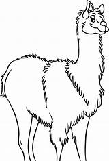Llama Coloring Outline Pages Drawing Clip Print Clipart Template Cliparts Printable Color Clipartbest Getdrawings Animal Alpaca Library Books sketch template