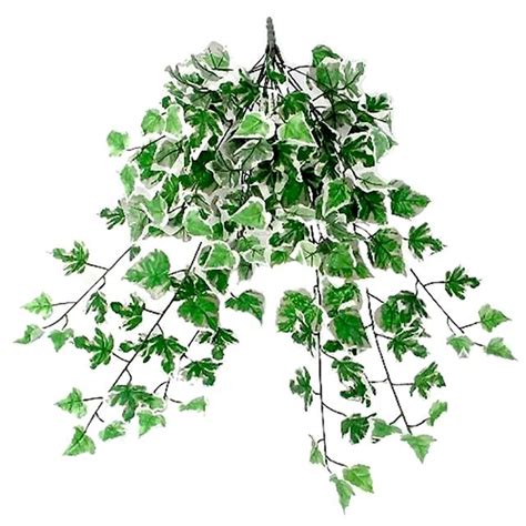 trailing ivy bush large 144 leaves variegated green artificial trailing plants ebay