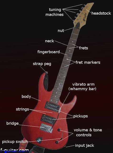 electric guitar parts diagram string finger numbering