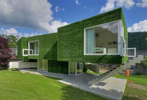 images  artificial synthetic grass walls  pinterest
