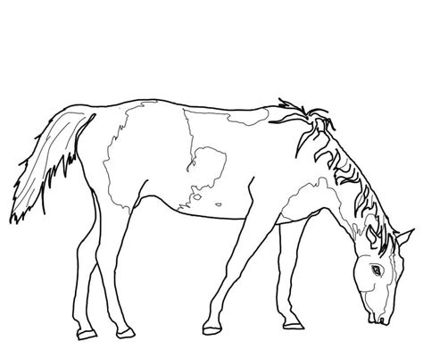 paint horse grazing coloring page animal coloring pages horse