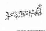 Sled Sledding Husky Iditarod Schlittenhunde Alaskan Tripod Dogsled Schlitten Transporte Dogsledding sketch template