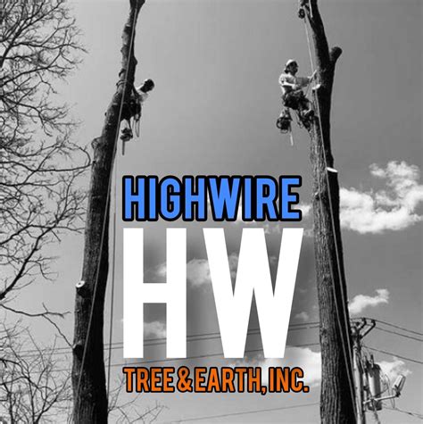 our amateur cell phone highwire tree and earth inc