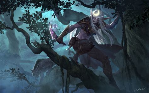 Elves Jianing Hu World Of Warcraft Night Elves Druid