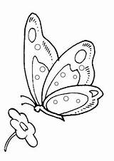 Farfalle Mariposas Colorear Butterfly Mariposa Pintadas Patrones Stampare Fieltro Tapices Moldes Repujado Mejicano Brasileño Plantilla Hilo Colouring sketch template