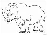 Coloriage Rhinoceros Mammiferes Animaux Appartenant Famille Sauvages Coloriages Enfant Enregistrée sketch template