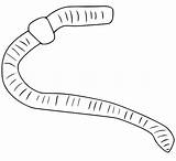 Earthworm Earthworms sketch template