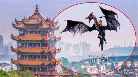 real chinese dragon caught  camera spotted  real life youtube