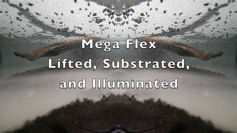 mega flex setup part  youtube