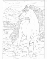 Horse Coloring Pages Choose Board Tharens Carousel Nature Photobucket sketch template