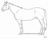 Horse Quarter Coloring Pages Outline Drawing Outlines Printable Horses Drawings Sketch Vanner Gypsy Color Supercoloring Cute Getdrawings Print Adult Animal sketch template