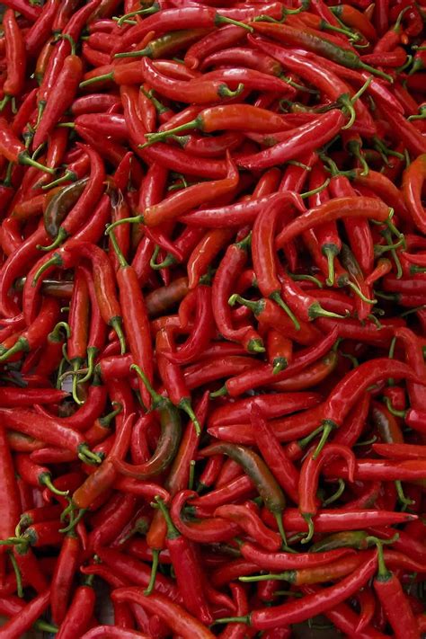 thai pepper many types and heat levels with images