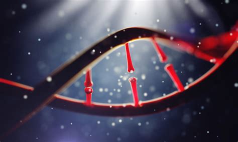 largest genome wide study  lung cancer susceptibility conducted