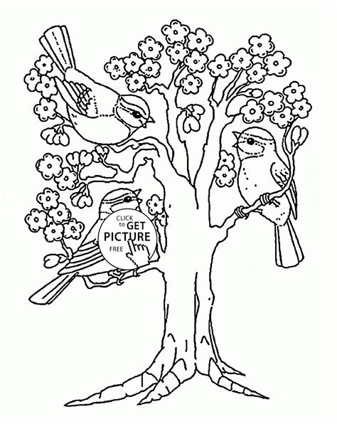 spring blooming tree coloring page  kids seasons coloring pages