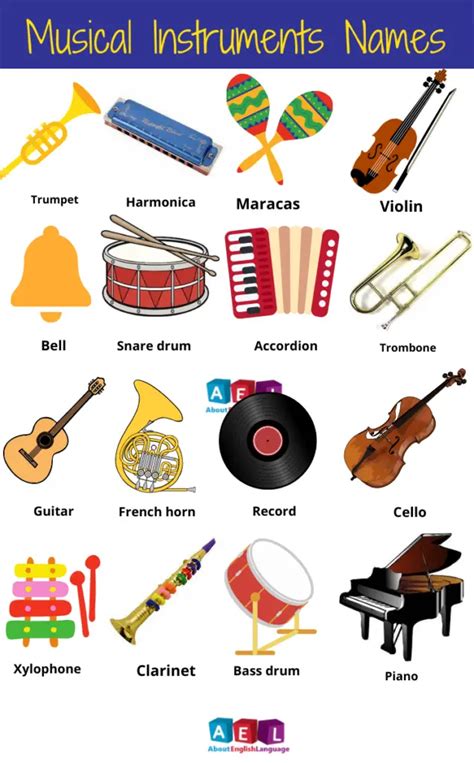 musical instruments names  list learn english