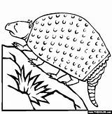 Coloring Pages Glyptodon Prehistoric Mammals sketch template