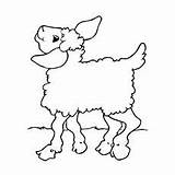 Sheep Schaf sketch template