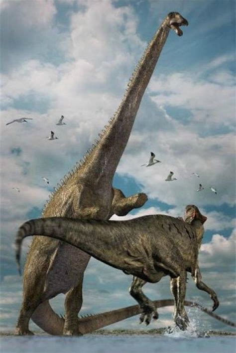 diplodocus fights  allosaurus  willdinomaster  deviantart