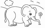 Outline Elephant Drawing Getdrawings Coloring sketch template
