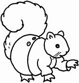 Squirrel Colorear Boyama Ardillas Chipmunk Ardilla Pewarna Bayi Tupai Untuk Yang Sincaplar Sayfasi Webtech360 Mewarna Berlatih Okul Sayfaları Sayfası Webstockreview sketch template