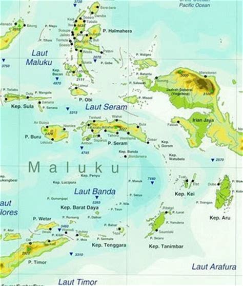 maluku islands  spice islands prospek bisnis
