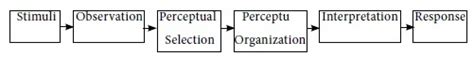 perceptual process perception  learning study material lecturing notes assignment reference