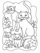 Famiglia Gatto Colorare Cambiare Potete Sara Browser sketch template