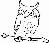 Owl Coloring Pages Flying Kids Printable Colouring Drawing Print Getdrawings Comments Coloringhome sketch template