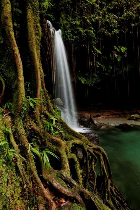 beautiful waterfall in dominica beautiful waterfalls waterfall