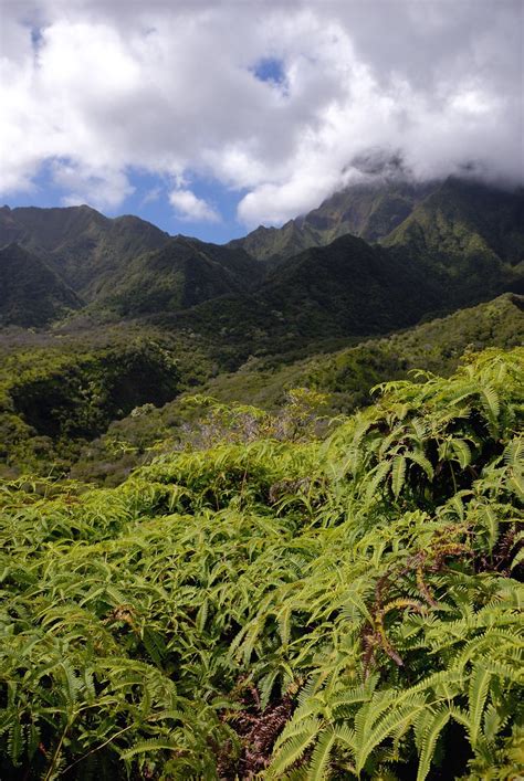 view  west maui reserve hawaii maui iao valley state flickr