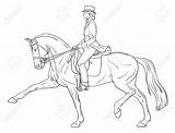 Dressage Horse Coloring Pages Ausmalbilder Pferde Pferd Skizze Dressur Reiter Bilder Zeichnen Und Silhouette Reiten Lizenzfreie Printable Frau Getcolorings Print sketch template