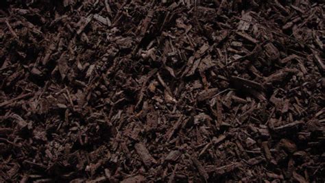 dark bark mulch