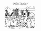 Jerusalem Palm Triumphal Colouring Feast Commemorates Colorluna sketch template