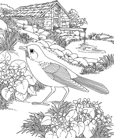 pin   wur  quilling template  ideas bird coloring pages