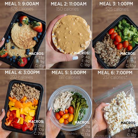 day meal prep plan  grocery list sample macro