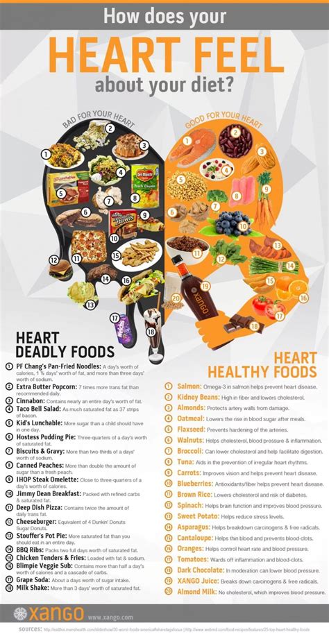 infographics  healthy eating    part