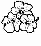 Hibiscus Drawing Bing Flower Flowers Sketch Hawaii Coloring sketch template