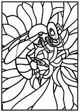 Vetro Vitrail Colorear Vidrieras Adulti Bee Vitraux Colorato Abeille Vetrata Glasmalerei Tosi Jb Workshop Malbuch Erwachsene Fur Colorati Moyen Justcolor sketch template