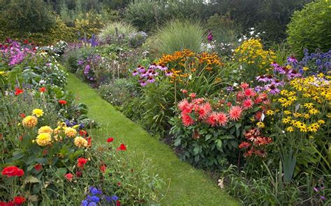 create  herbaceous border   budget